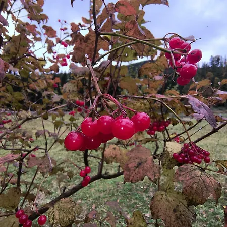 Na Hutori 3* Tatariv
