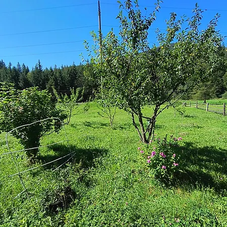 Na Hutori Tatariv